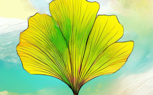 What are four-character onomatopoeic words?